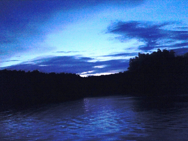 a0000014_151593.jpg