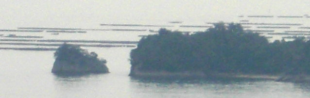 e0125014_7105954.jpg