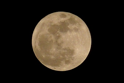 f0056516_327194.jpg