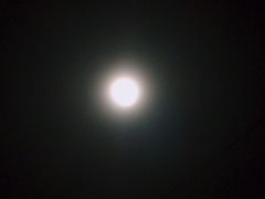 a0111618_92305.jpg
