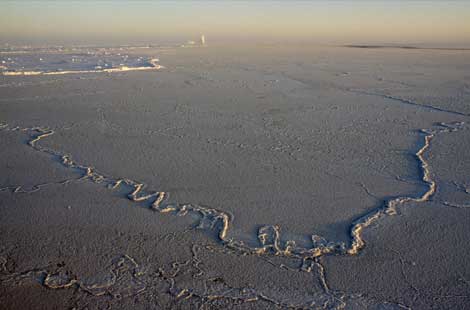 b0150018_650742.jpg