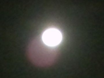 b0128821_11284519.jpg