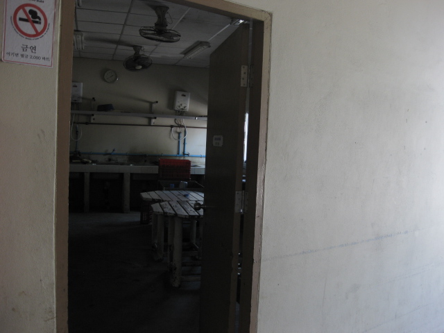 c0134522_16322519.jpg