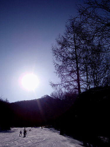e0153022_20514954.jpg