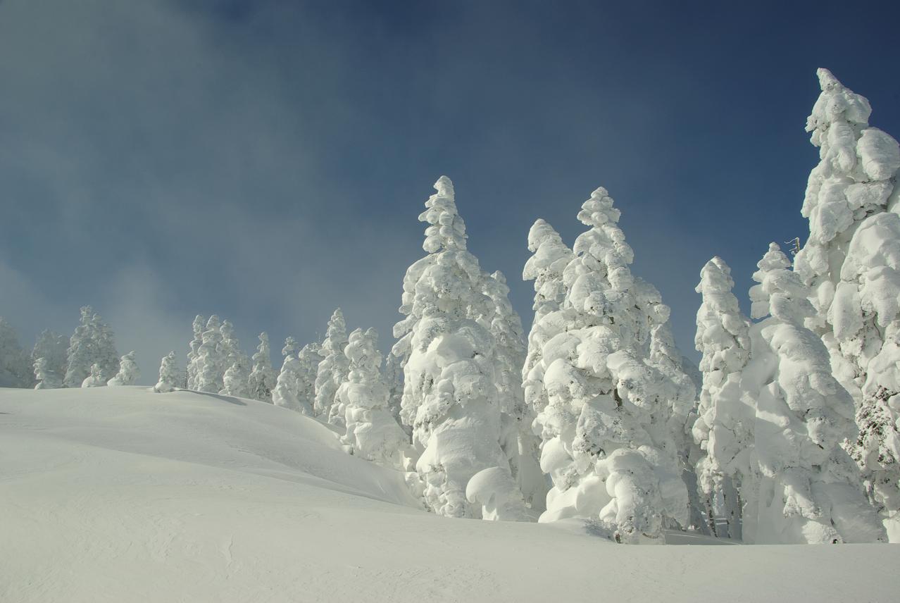 b0062024_22131670.jpg