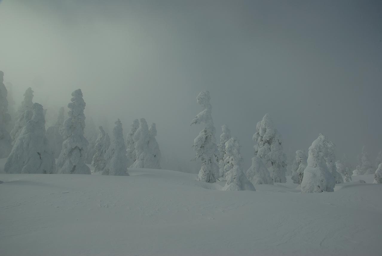 b0062024_2263593.jpg