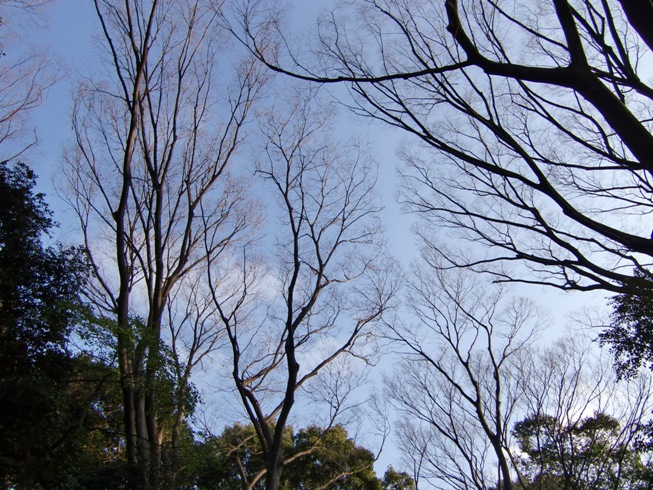 d0018424_132032.jpg