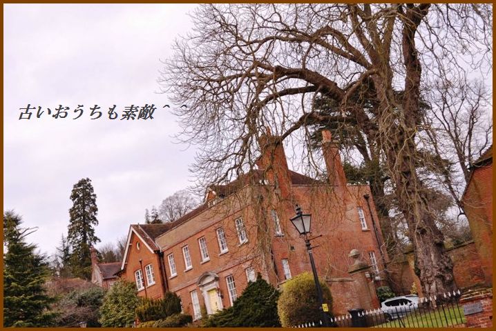d0104926_9294739.jpg