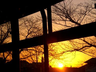 c0201427_23142320.jpg