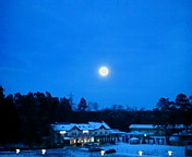 c0051529_20113880.jpg