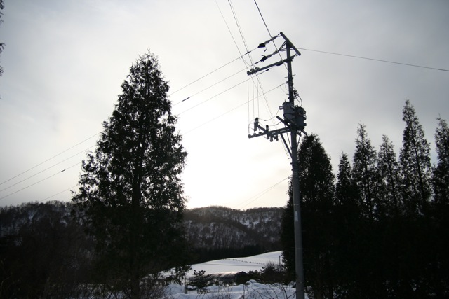 f0045630_1740211.jpg