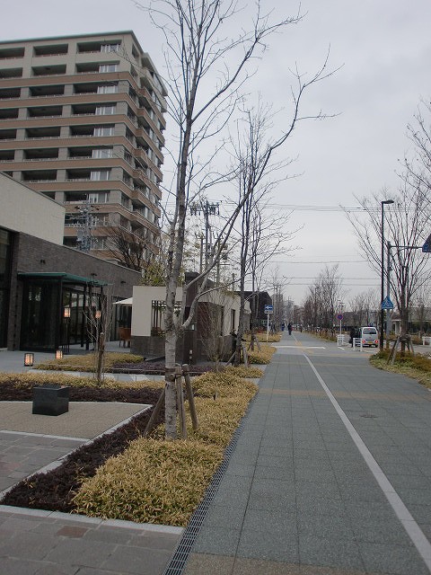 a0148431_1320269.jpg