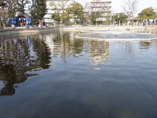 b0156734_17581346.jpg