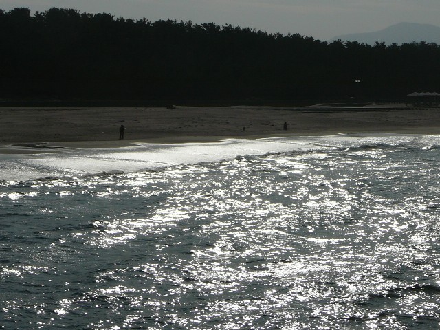 c0194535_1340919.jpg