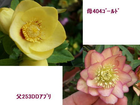 c0025140_0242377.jpg