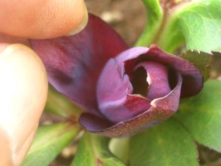 c0025140_0251390.jpg