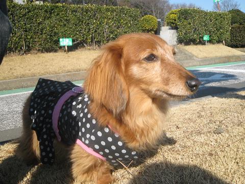 c0206342_21265417.jpg