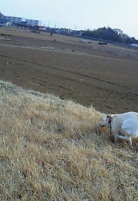 f0195543_21185496.jpg