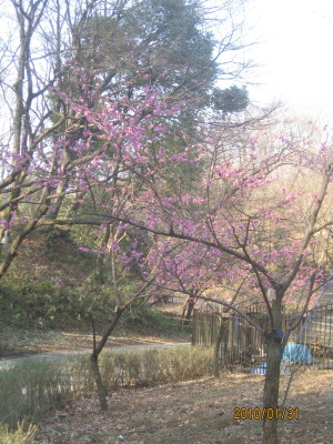 e0121548_21541842.jpg