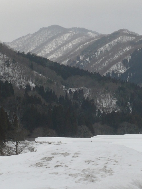 a0063364_2249175.jpg