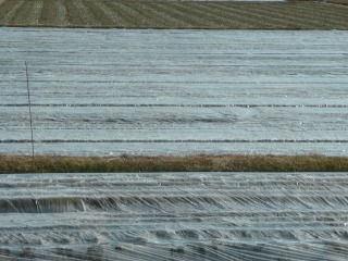 f0055264_18323323.jpg