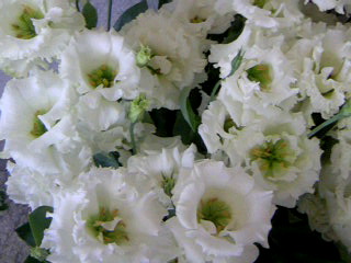 a0152665_14504227.jpg