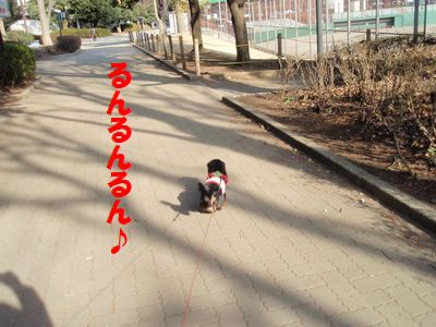 c0151866_20151514.jpg