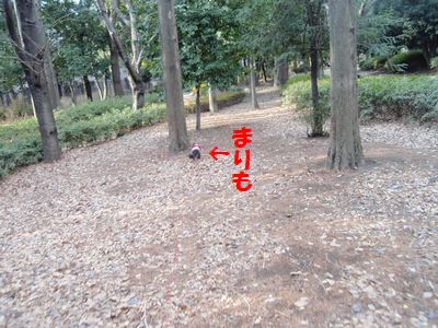 c0151866_2022274.jpg