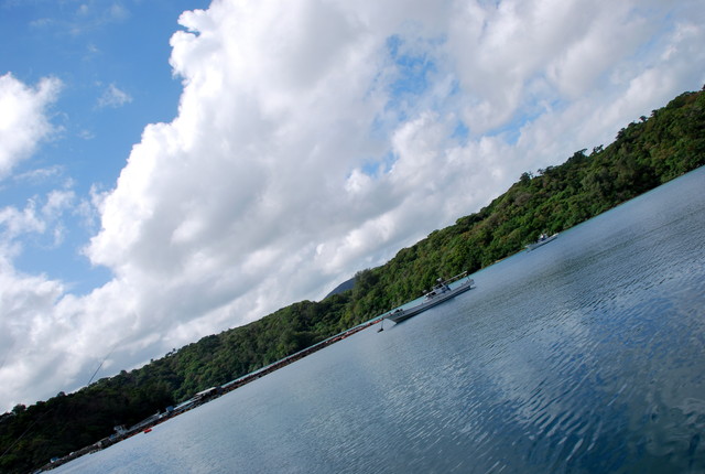 b0174068_03974.jpg