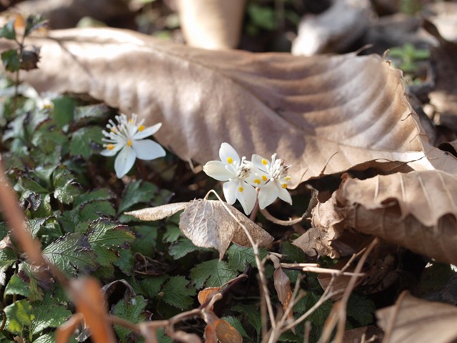 d0025568_18182426.jpg