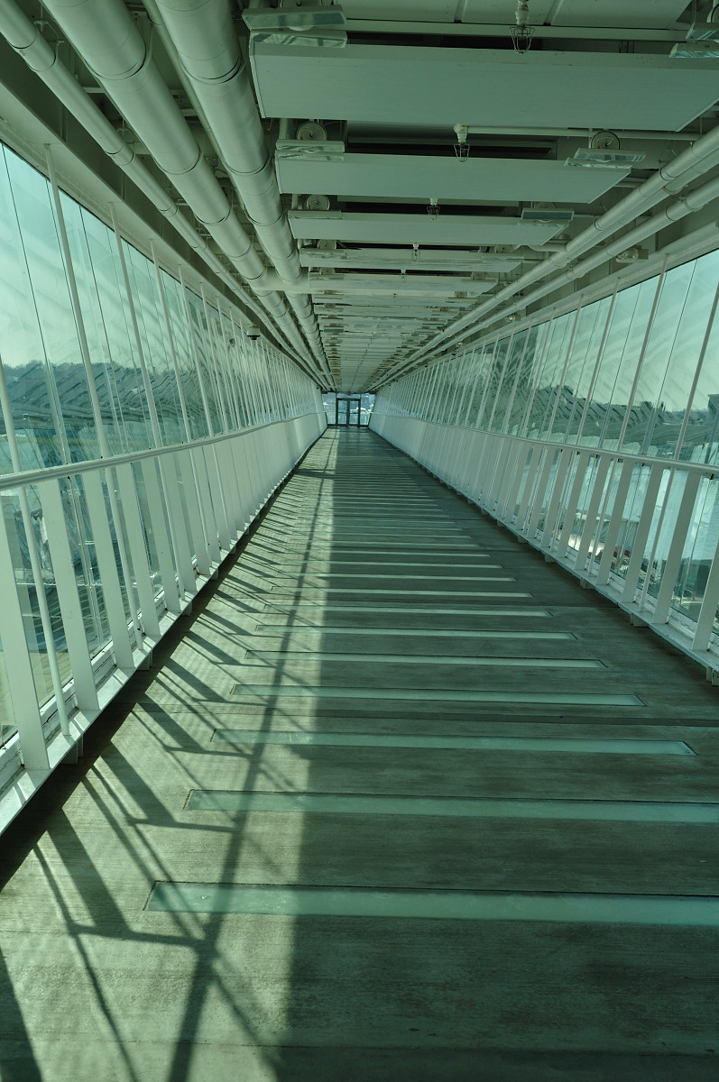 e0028272_3312233.jpg