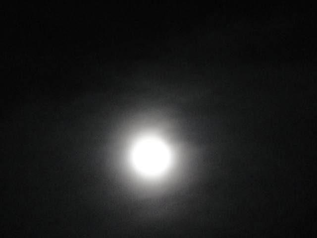 f0137275_5164640.jpg
