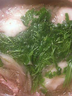 f0056476_229867.jpg