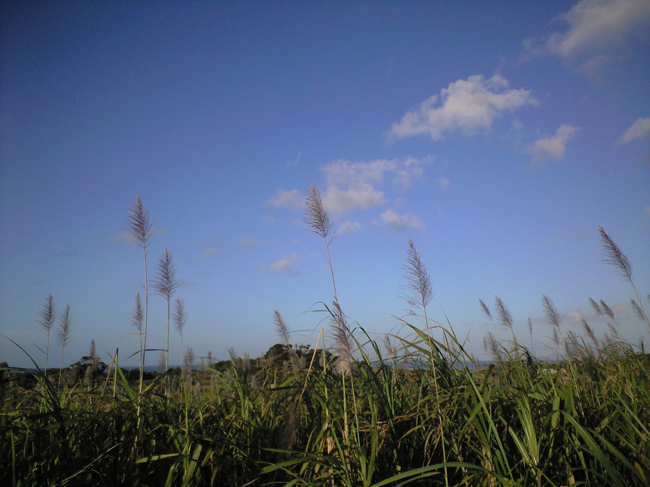 c0026178_13461114.jpg