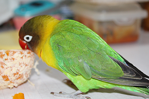 a0112595_22444456.jpg