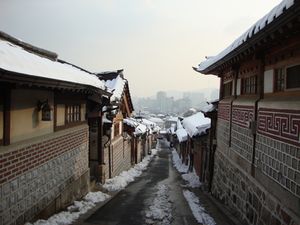 d0004195_17261979.jpg