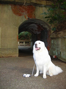 e0158895_19115713.jpg
