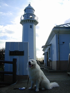 e0158895_19155436.jpg
