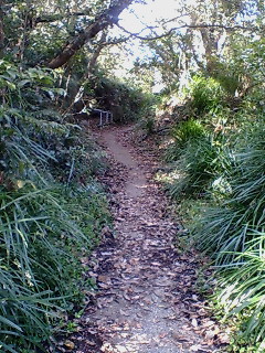 f0138995_14173935.jpg