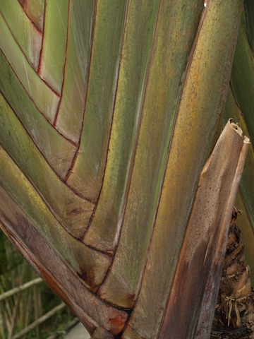 a0170098_11591238.jpg