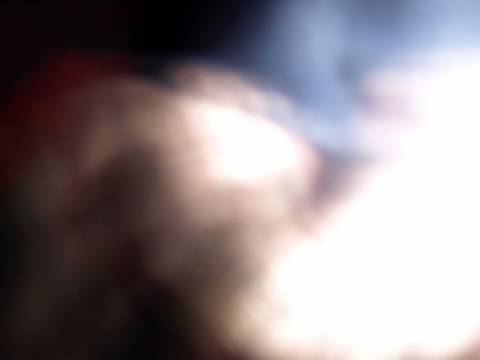a0170098_1212745.jpg