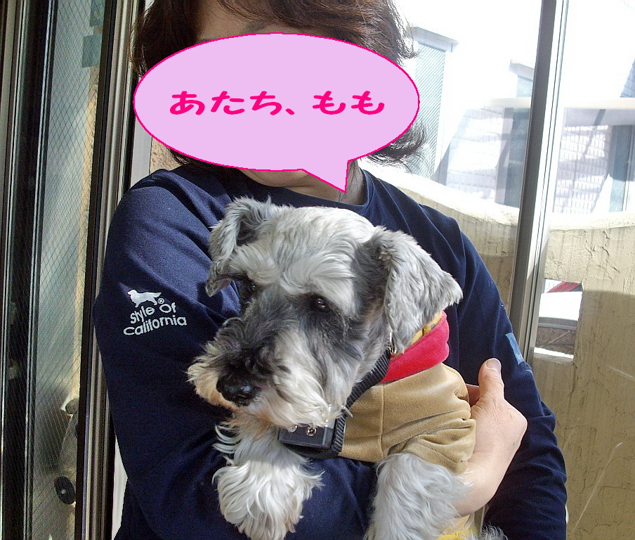 c0138198_10385042.jpg