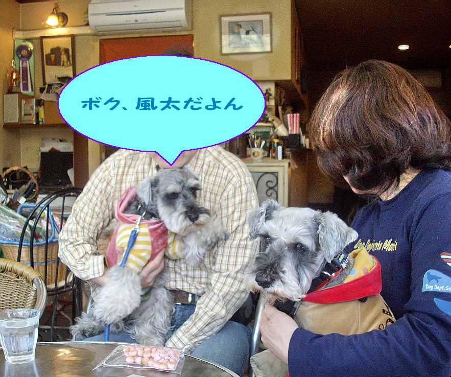 c0138198_10404735.jpg
