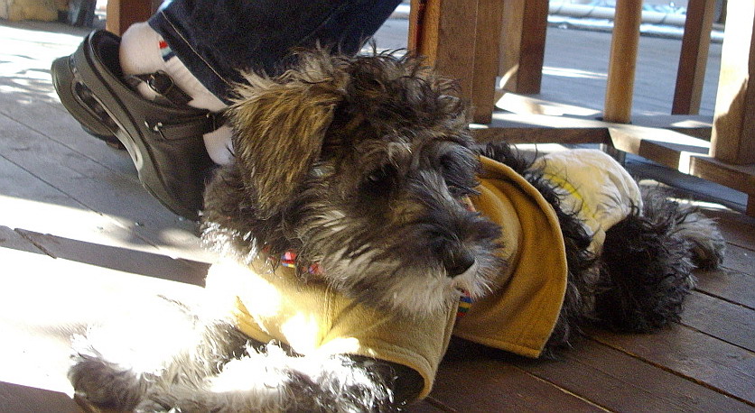 c0138198_11153116.jpg