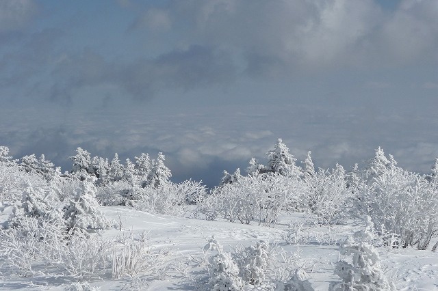 e0137200_22355212.jpg