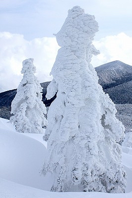 e0137200_23183367.jpg