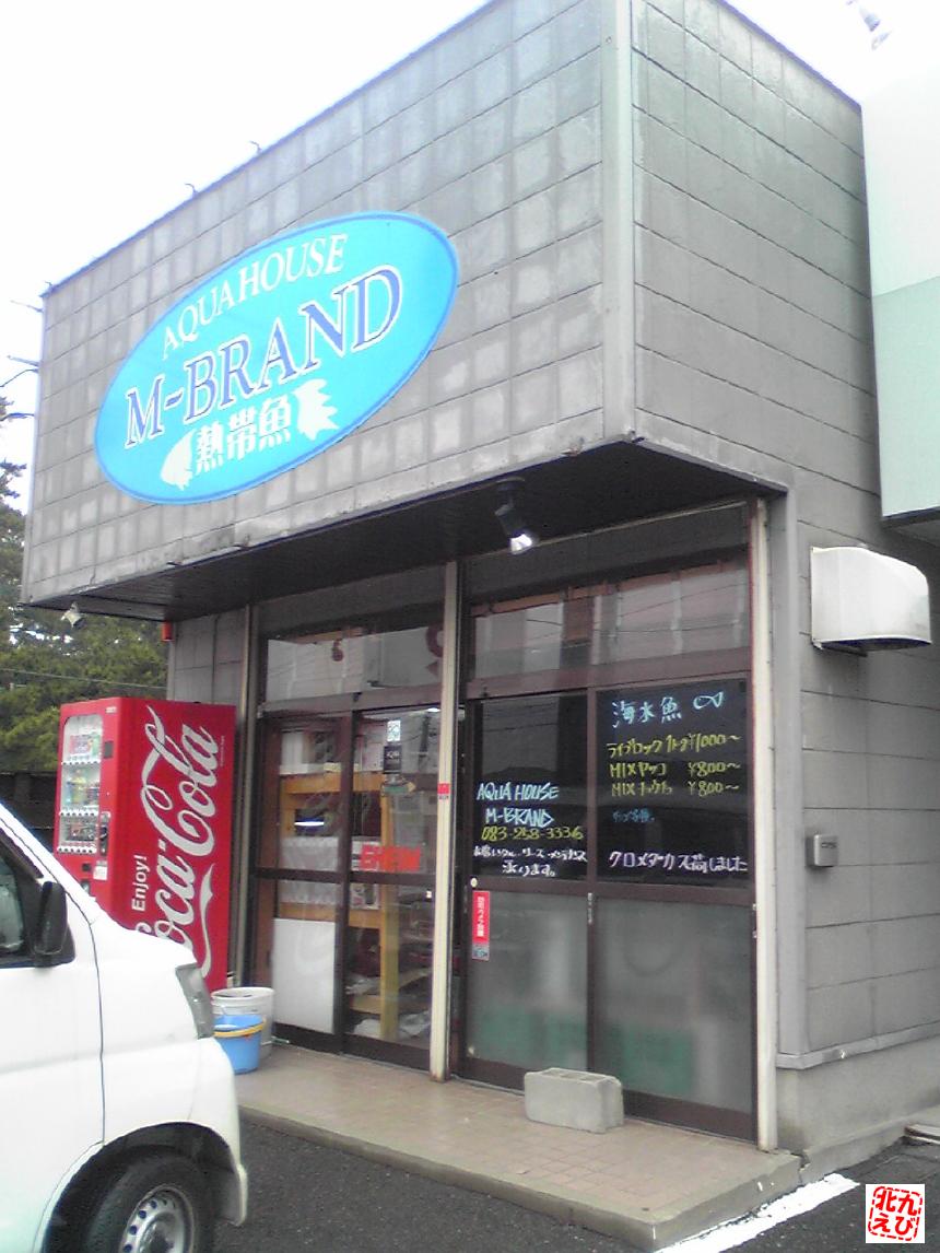 b0175402_001578.jpg