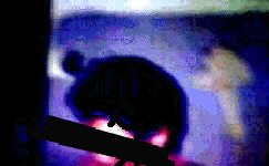 e0103408_13301124.gif