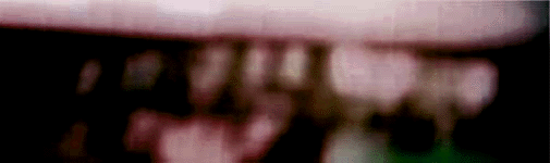 e0103408_13303357.gif