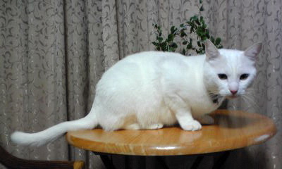c0180209_2335799.jpg